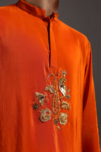 Paisfeather(Paisely) - Hand Embroidered Designer Kurta