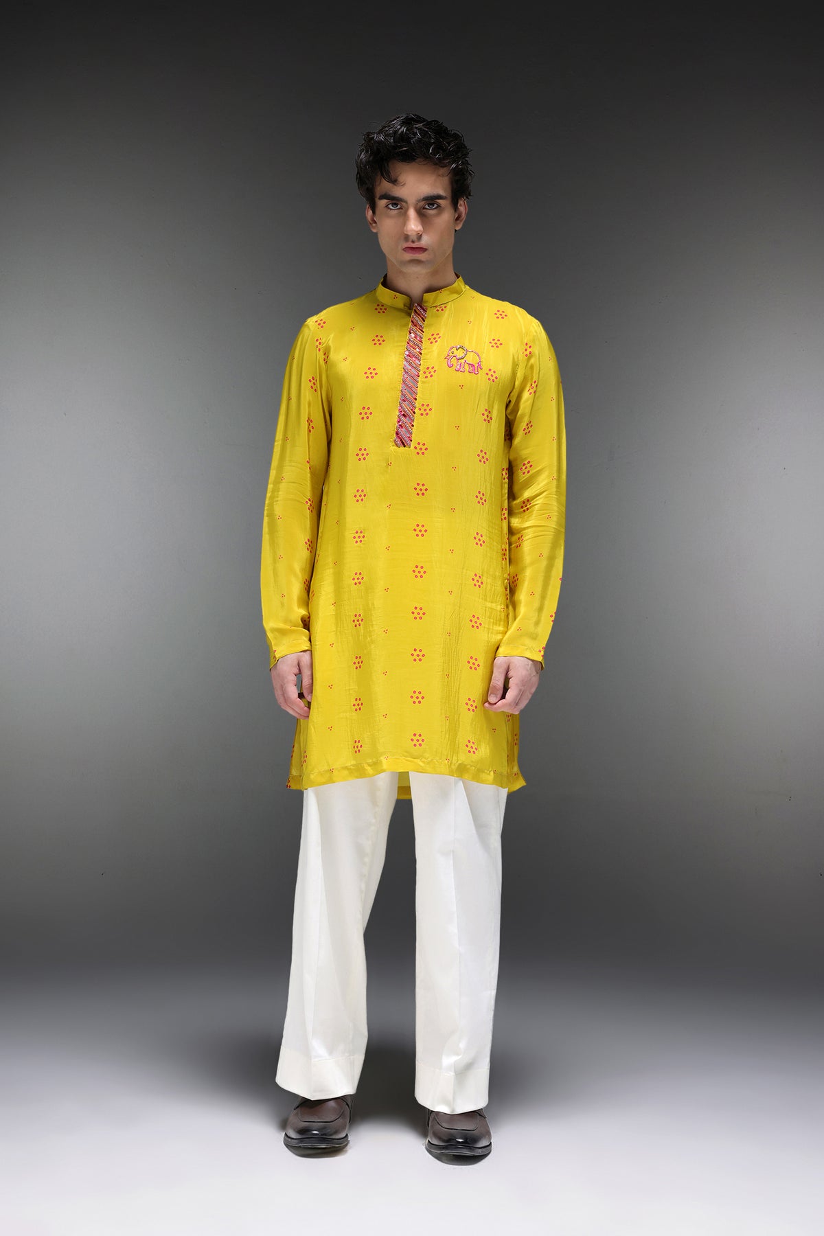 Ibha (Elephant) Bhandini - Hand Embroidered Designer Kurta - Lime Green